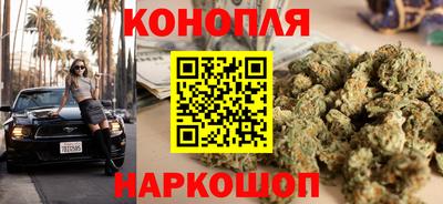 мдпв Пугачёв