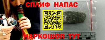мдпв Пугачёв