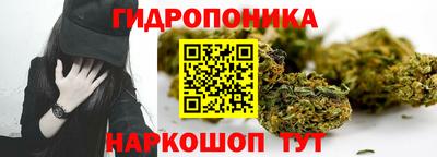 МДПВ Пушкино