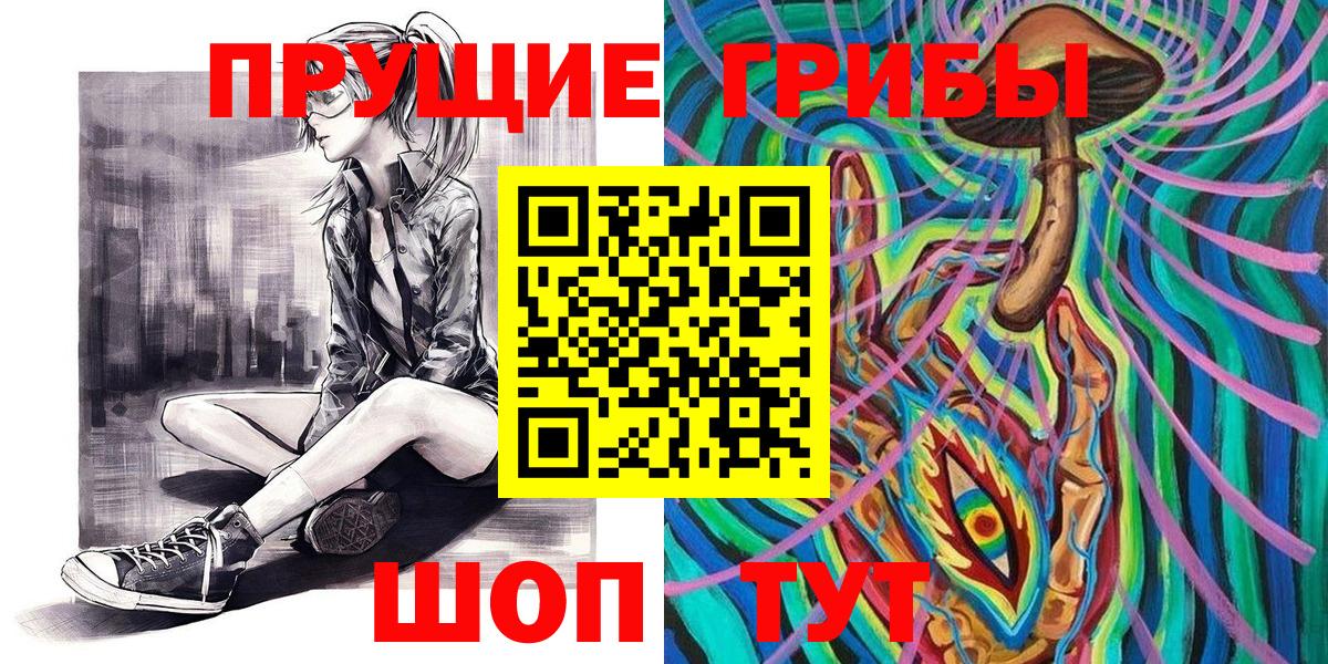Псилоцибиновые грибы GOLDEN TEACHER Петрозаводск