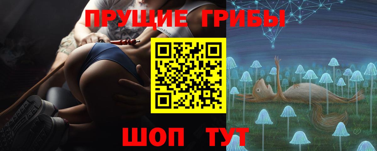 Петрозаводск  Псилоцибиновые грибы Psilocybine cubensis  сколько стоит  Вход с VPN 